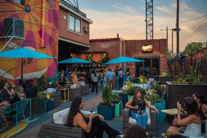CANOPY COCKTAILS
